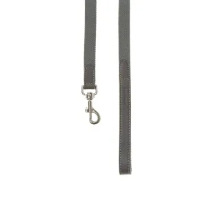 Ring Harness Dog Lead